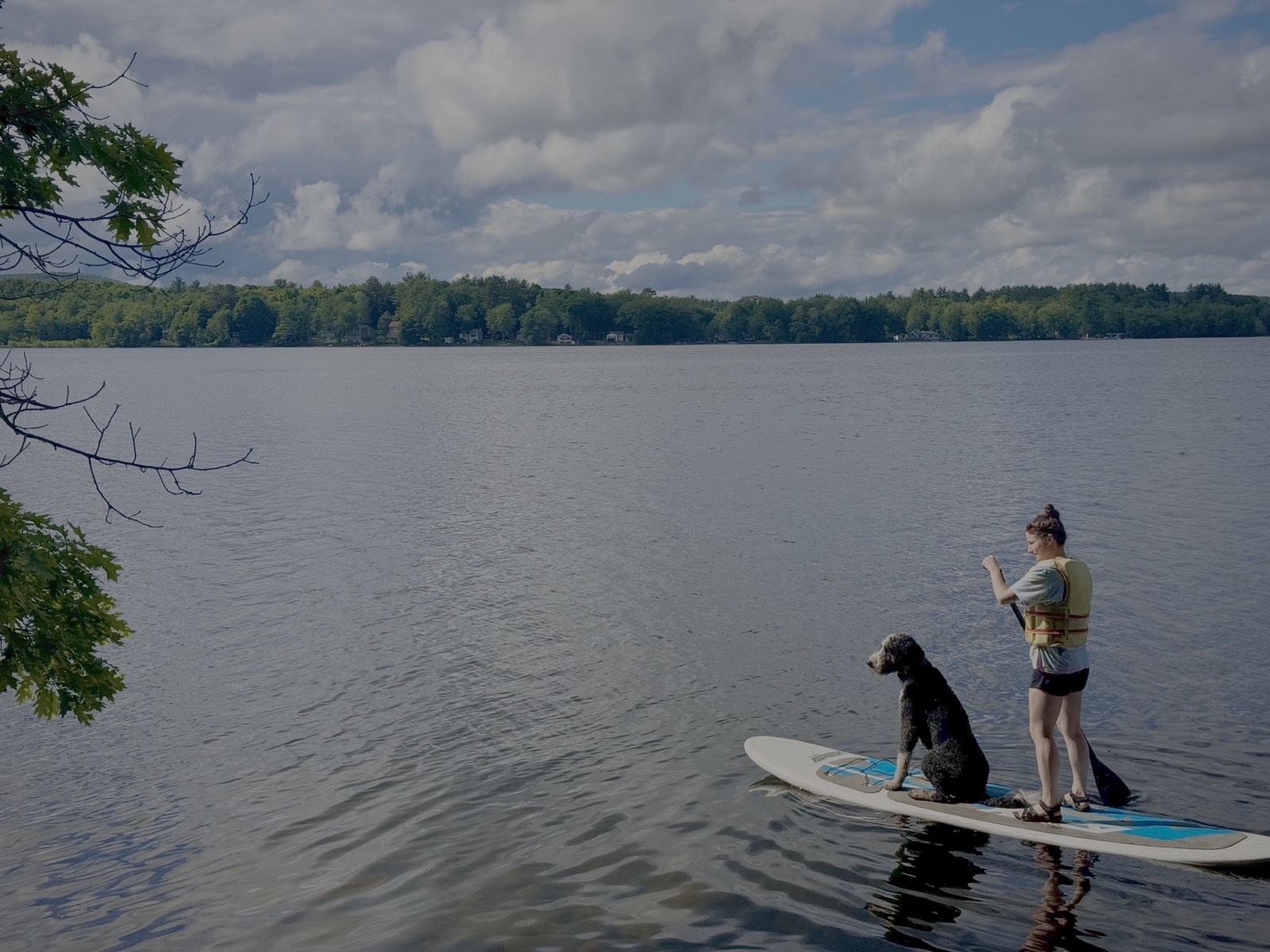 Paddleboarder on the lake.